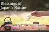 Artisanal meals blessed with Japan's nature 🌸