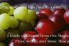 Grape season has finally come!