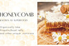 Honeycomb, what makes this superfood captivating?