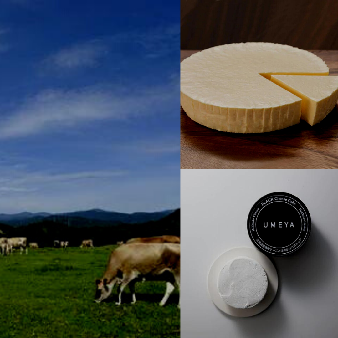 【Recommend】Premium Cheese Cakes