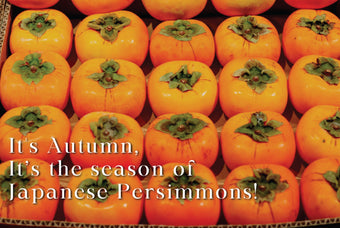 It’s the season of Japanese Persimmons!