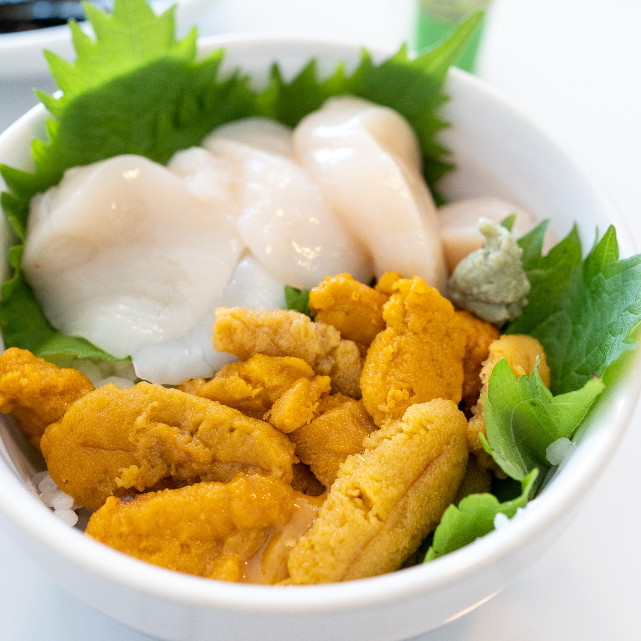 Frozen Ezo Bafun Uni (蝦夷馬糞雲丹) – Hokkaido Rebun & Rishiri – 80g