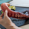 Boiled Octopus Leg - たこ1本足