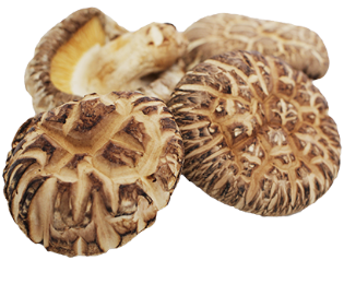 Premium Japanese Dried Shiitake Mushroom 茶花冬菇 (50g)