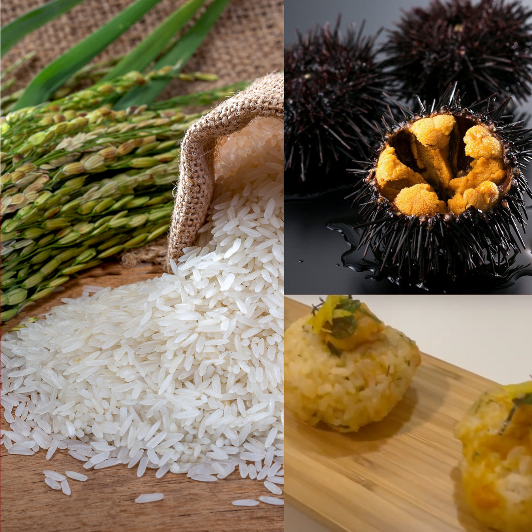 【Recipe】Uni Onigiri Rice ball🍙✨