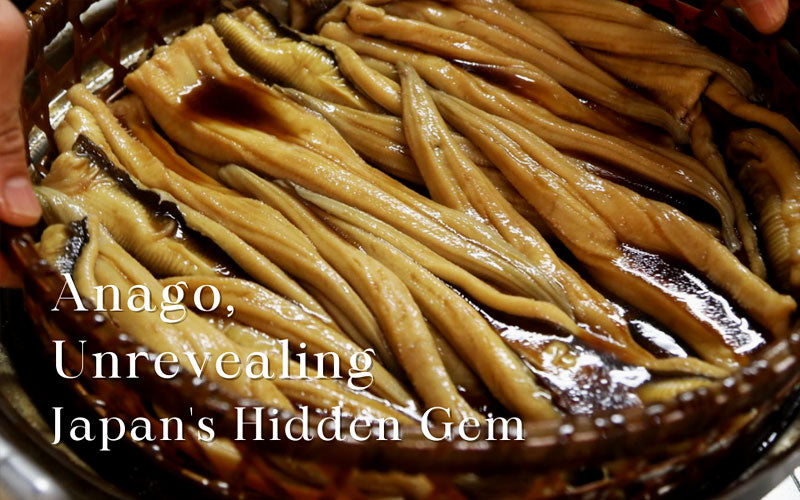 Anago, Unrevealing Japan’s Hidden Gem