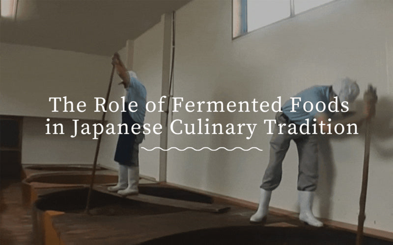 Renewal of Traditional Fermented Food from Japan