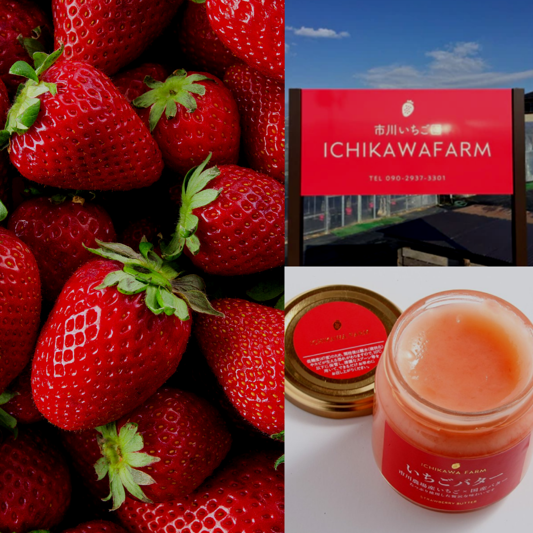 【Story】Ichikawa Farm