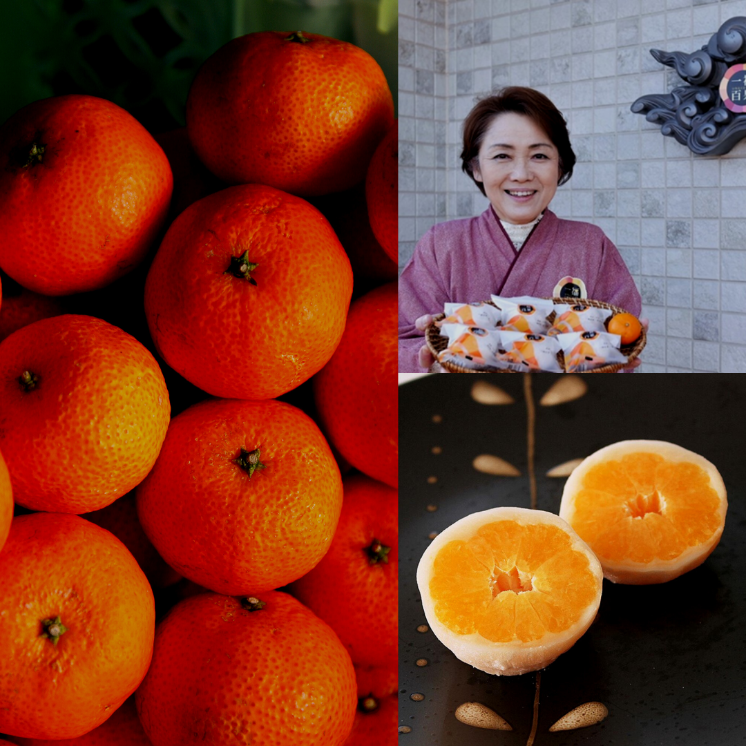 【Story】Seikodo