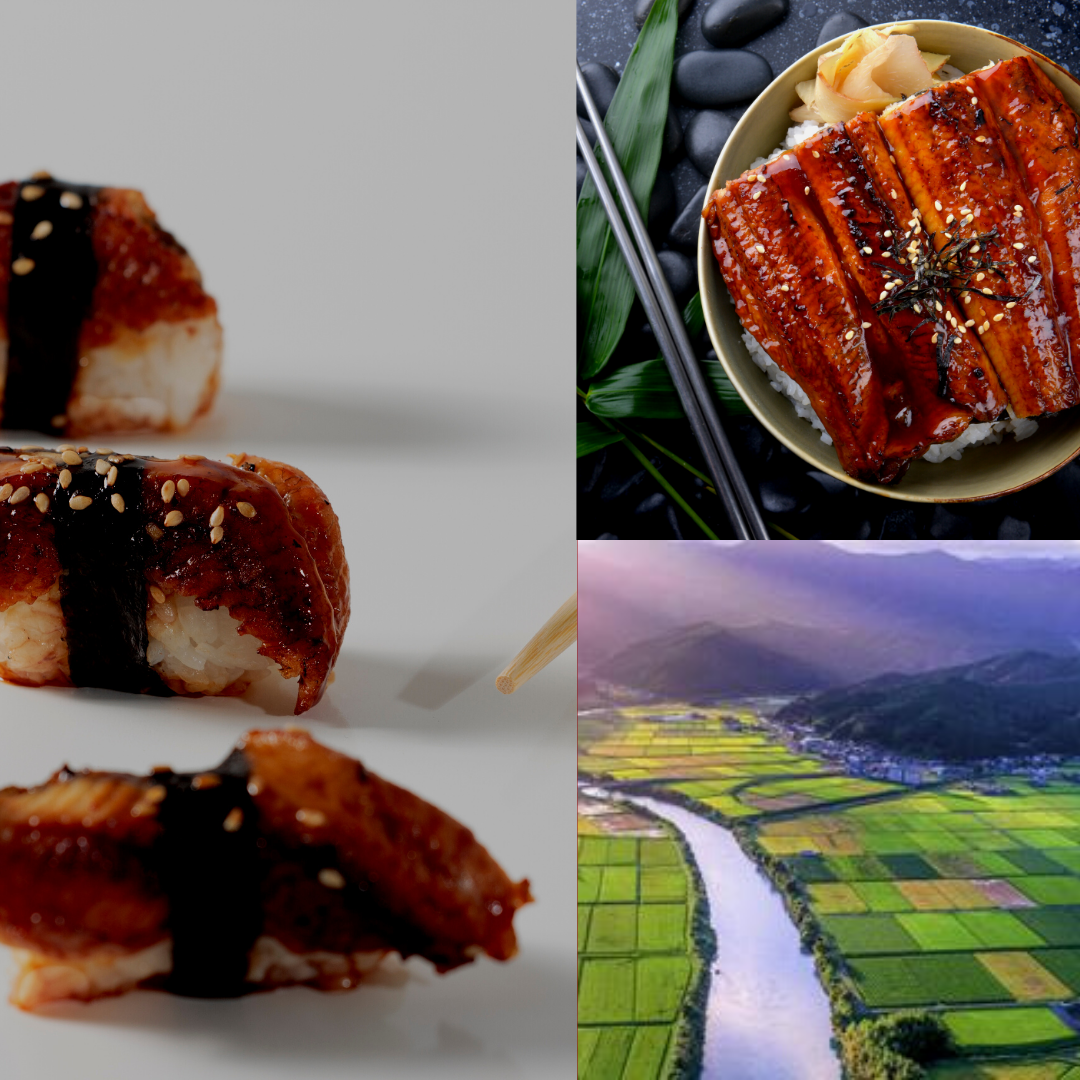 【Recipe】Unagi Recipe
