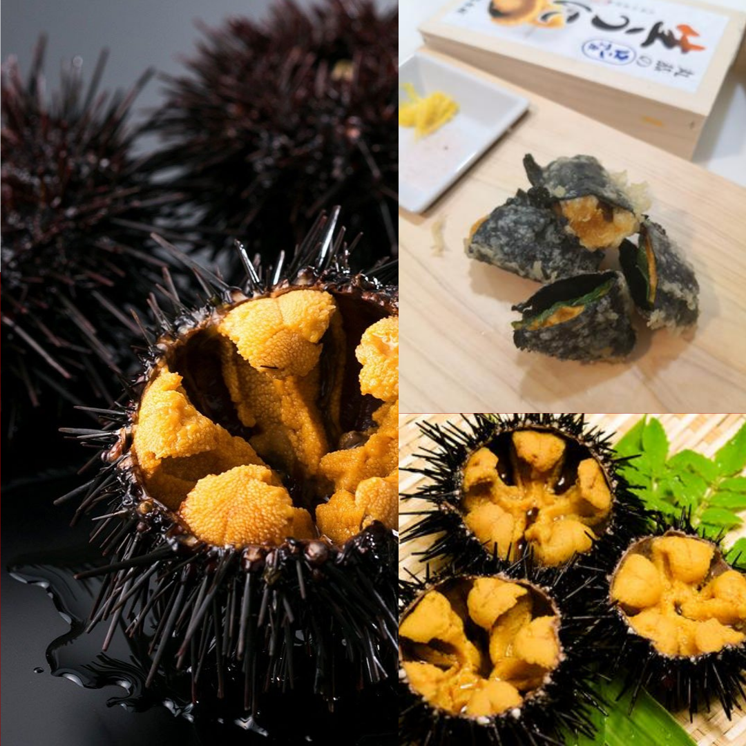 【Recipe】Crunchy Uni Tempura🍤✨