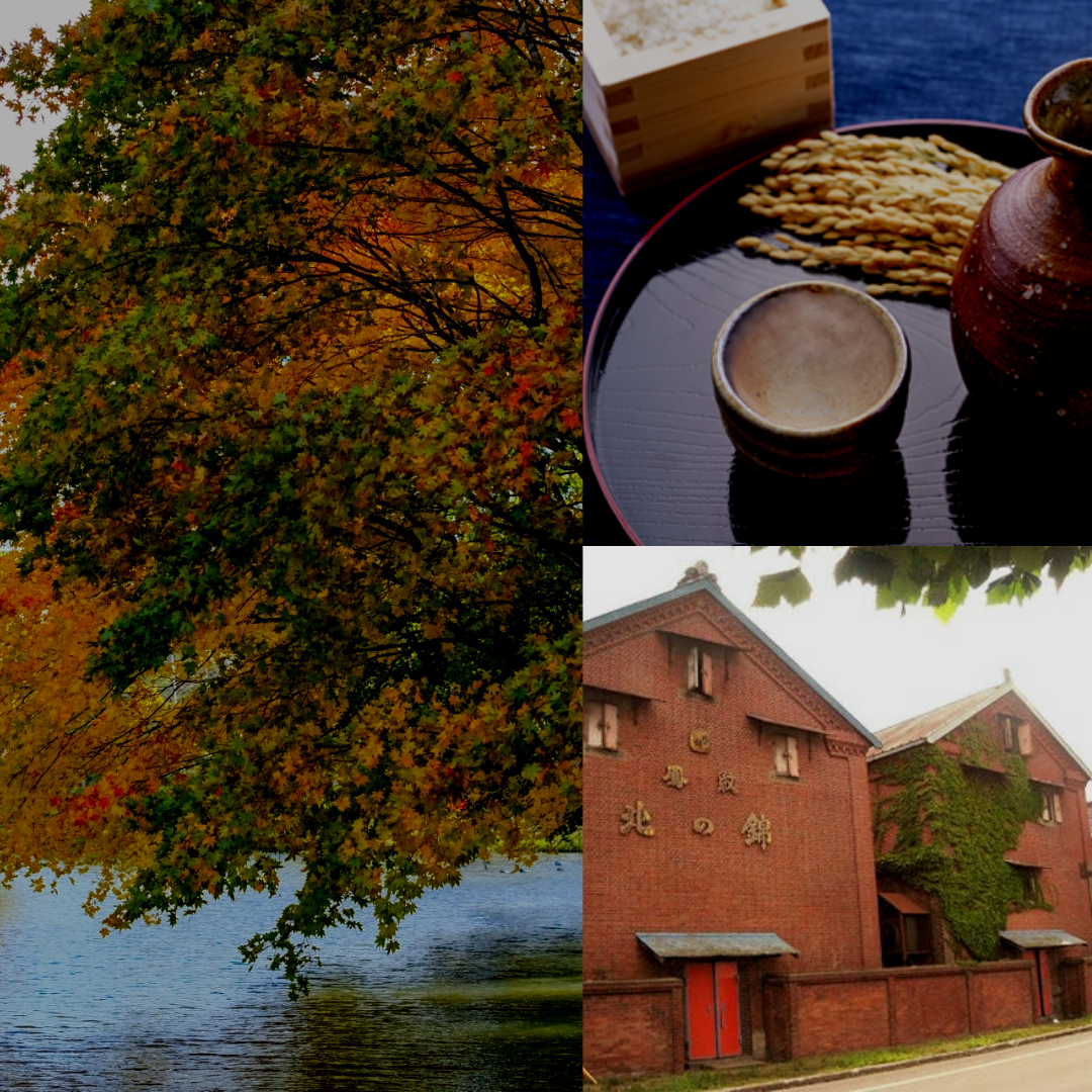 【Story】Kobayashi Brewery