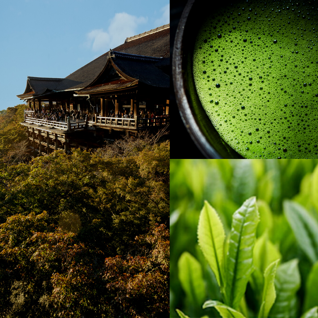 【Story】Higashiyama Saryo