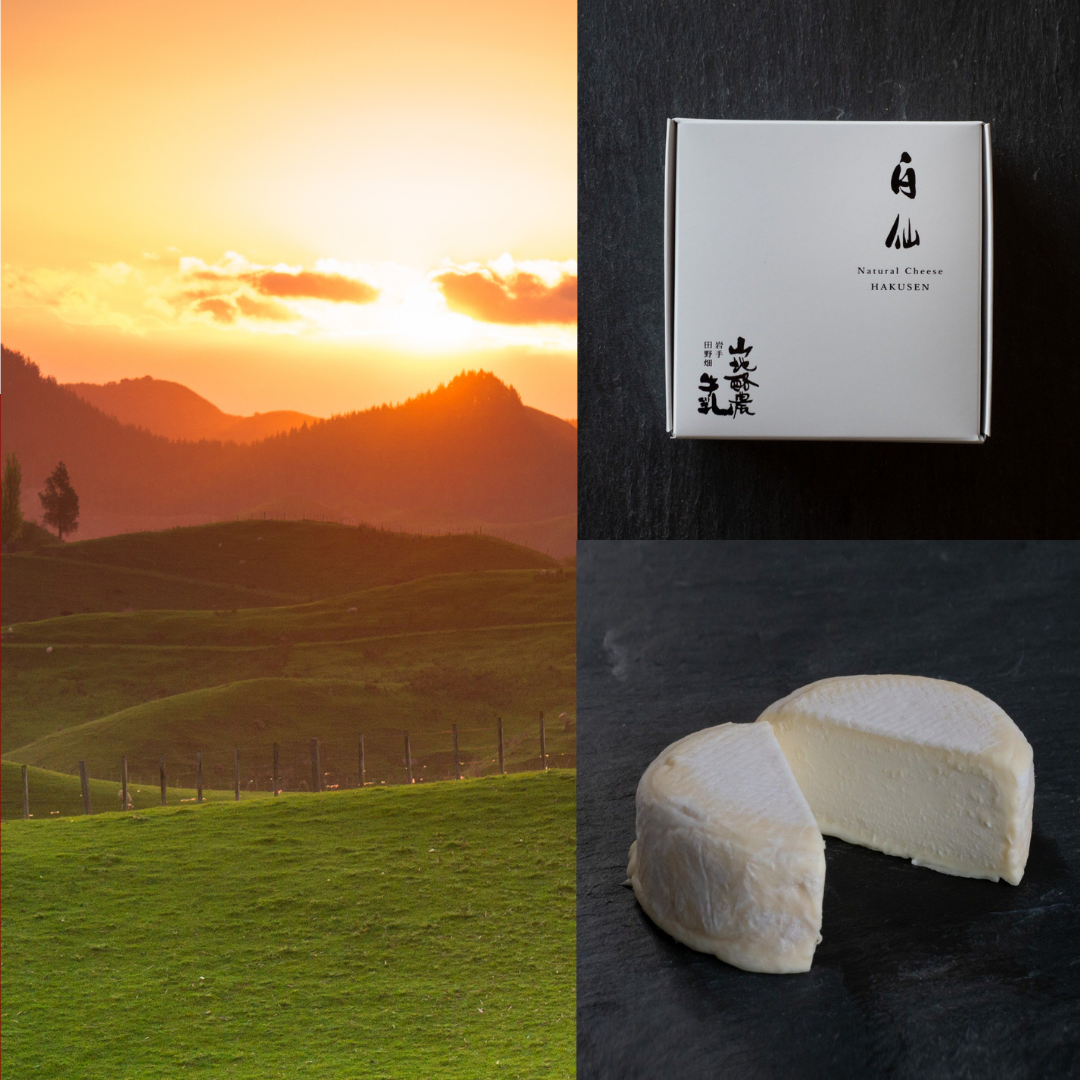 【Story】Tanoyama Yamachi Rakunou 〜HAKUSEN  Mountain Ground Double Cream〜