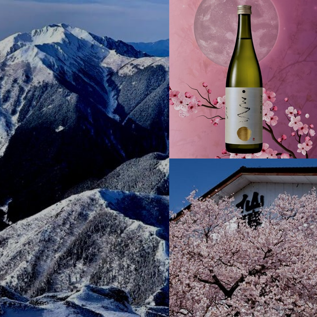 【Story】Senjo brewery