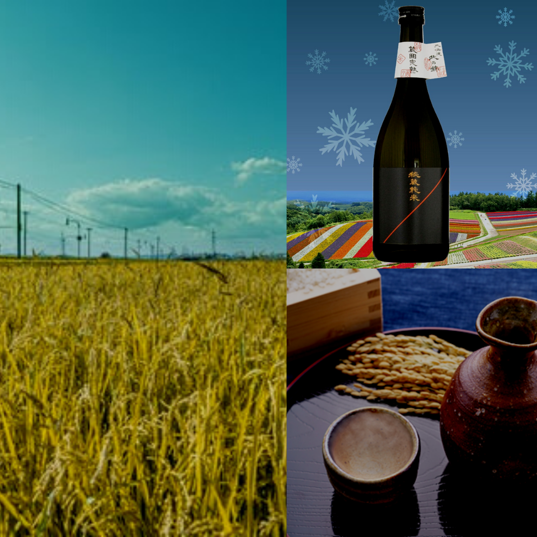 【Story】Kobayashi Brewery