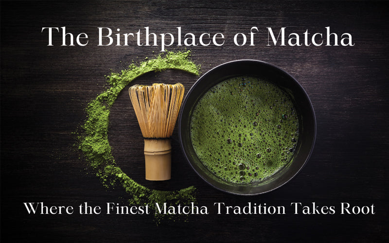 What makes Uji matcha special?