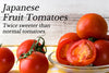 [New] Fresh, Sweet, Fruit Tomatoes from Japan