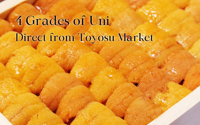 4 Grades of Uni Direct from Toyosu Market