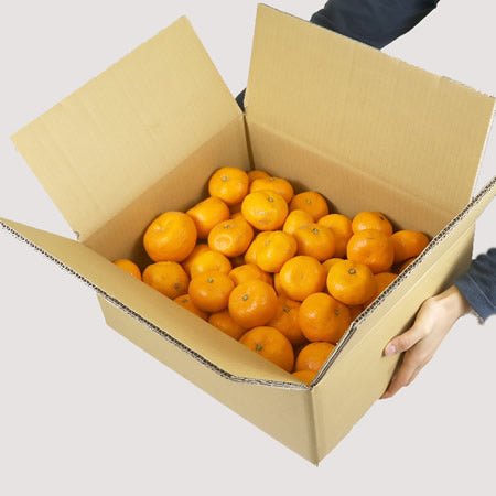 [Pre-Order] ORIGINAL WHOLESALE BOX - JAPANESE MIKAN / 1 box, 5kg