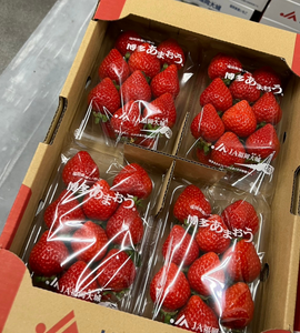 [Pre-Order] Japanese Strawberry 'AMAOU'  あまおう / 0.5 kg, 2 packs