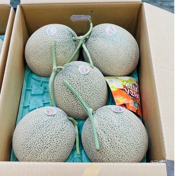 [Pre-Order] Hokkaido Red Melon 北海道赤肉メロン / 1.3kg, 1 piece