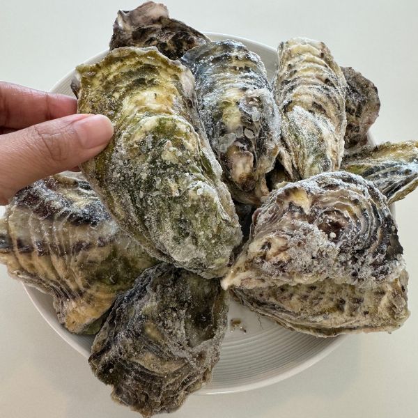 [Sashimi Grade] Yamada Bay Oyster (12pcs) with whole shell