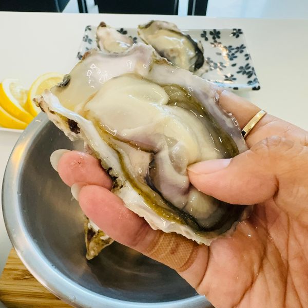 [Sashimi Grade] Yamada Bay Oyster (12pcs) with whole shell