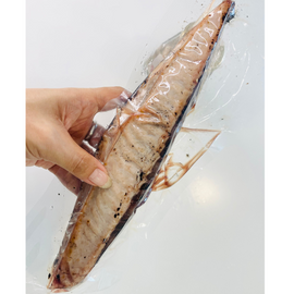 [Sashimi Grade] Seared Bonito from Kochi Prefecture