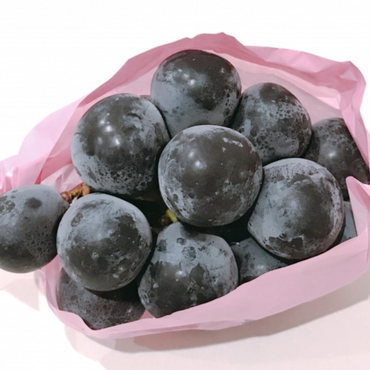 [Pre-Order] Nagano Purple Grape 長野パープル / 500-600g