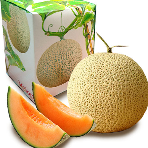 [Pre-Order] Yubari King Melon 夕張メロン / 1 kg, 1 piece