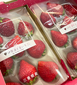 [Pre-Order] Iga Do-dan Strawberry '伊賀満天星いちご' / 0.5kg, 2packs