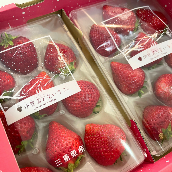 [Pre-Order] Iga Do-dan Strawberry '伊賀満天星いちご' / 0.5kg, 2packs