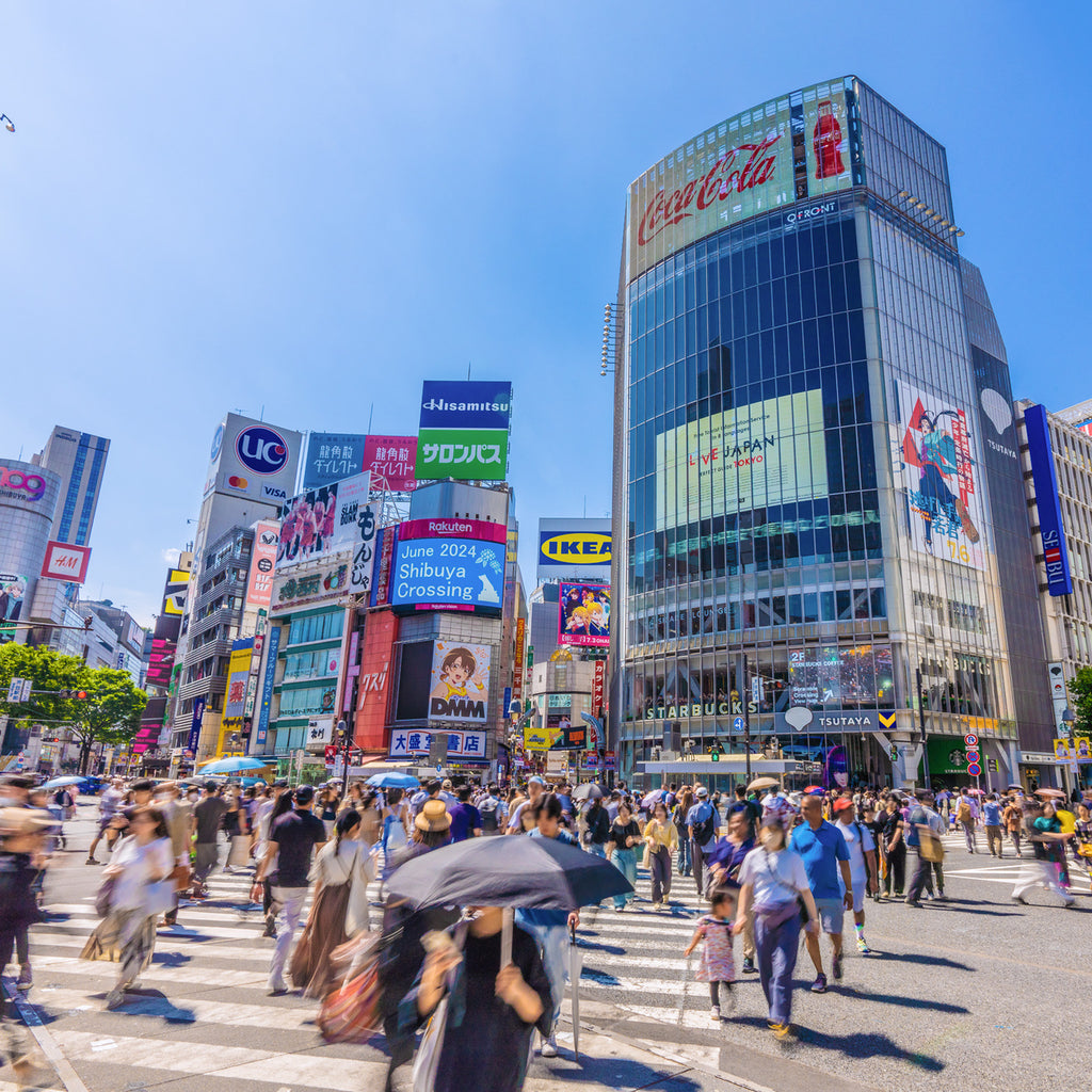 Tokyo Private & Custom Day Trip (7 Hours)