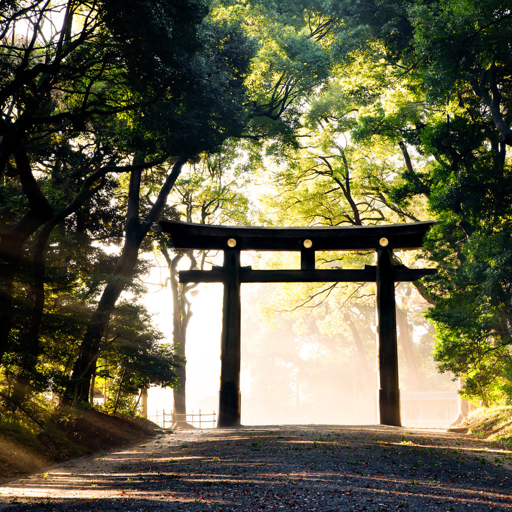 Tokyo Private & Custom Day Trip (7 Hours)