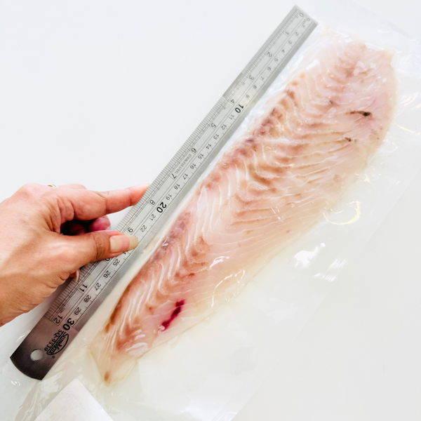 Hirame Loin (flounder) (350~370g)