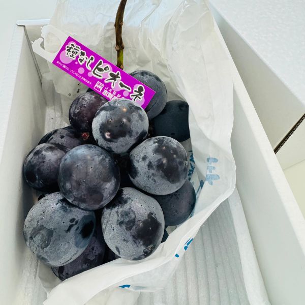 [Pre-Order] Pione Grape ピオーネ / 500-600g