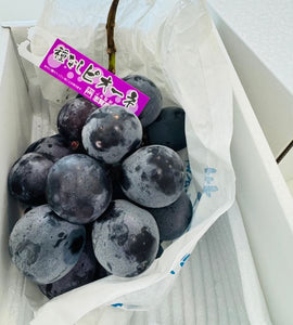 [Pre-Order] Pione Grape ピオーネ / 500-600g