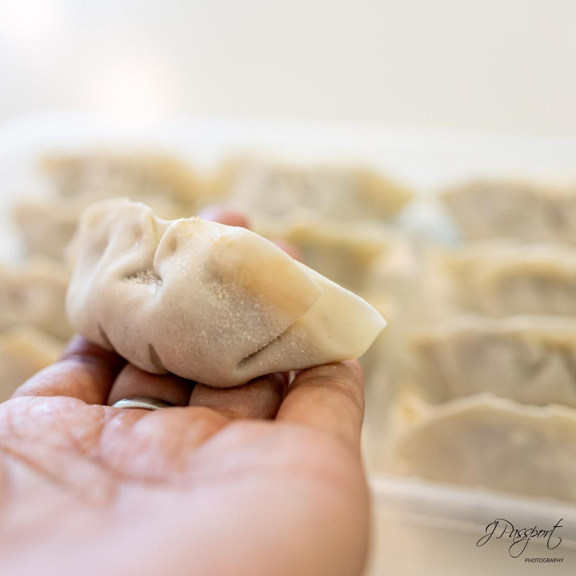 TORASHO - Handmade GYOZA (12pcs)