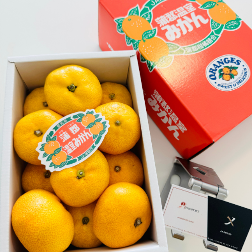 [Pre-Order] Japanese Greenhouse Mikan in Gift Box 温室ハウスみかん / 1 box, 1.2kg