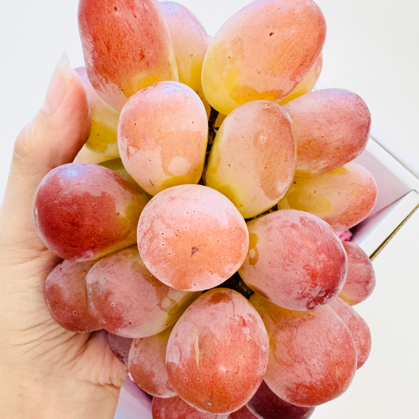 [Pre-Order] Shion Grapes 紫苑 / 500-600g