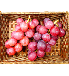 [Pre-Order] Shion Grapes 紫苑 / 500-600g