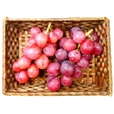 [Pre-Order] Shion Grapes 紫苑 / 500-600g