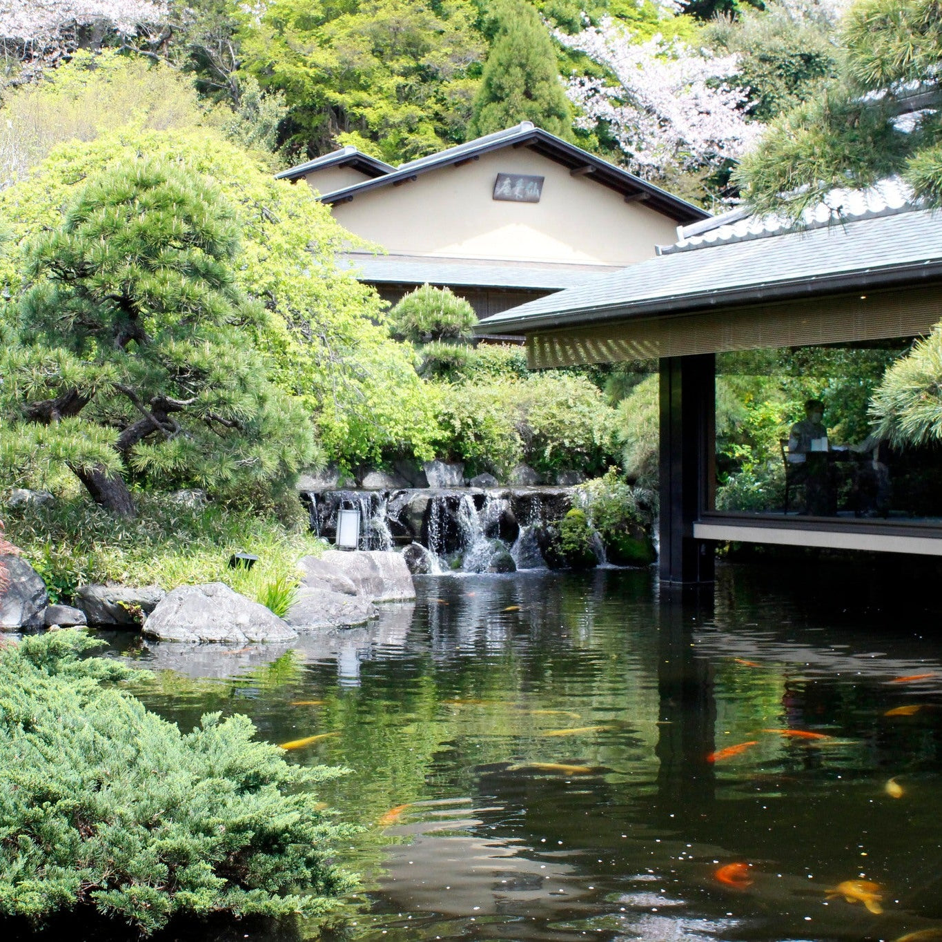 A Day in a Japanese Garden Tour