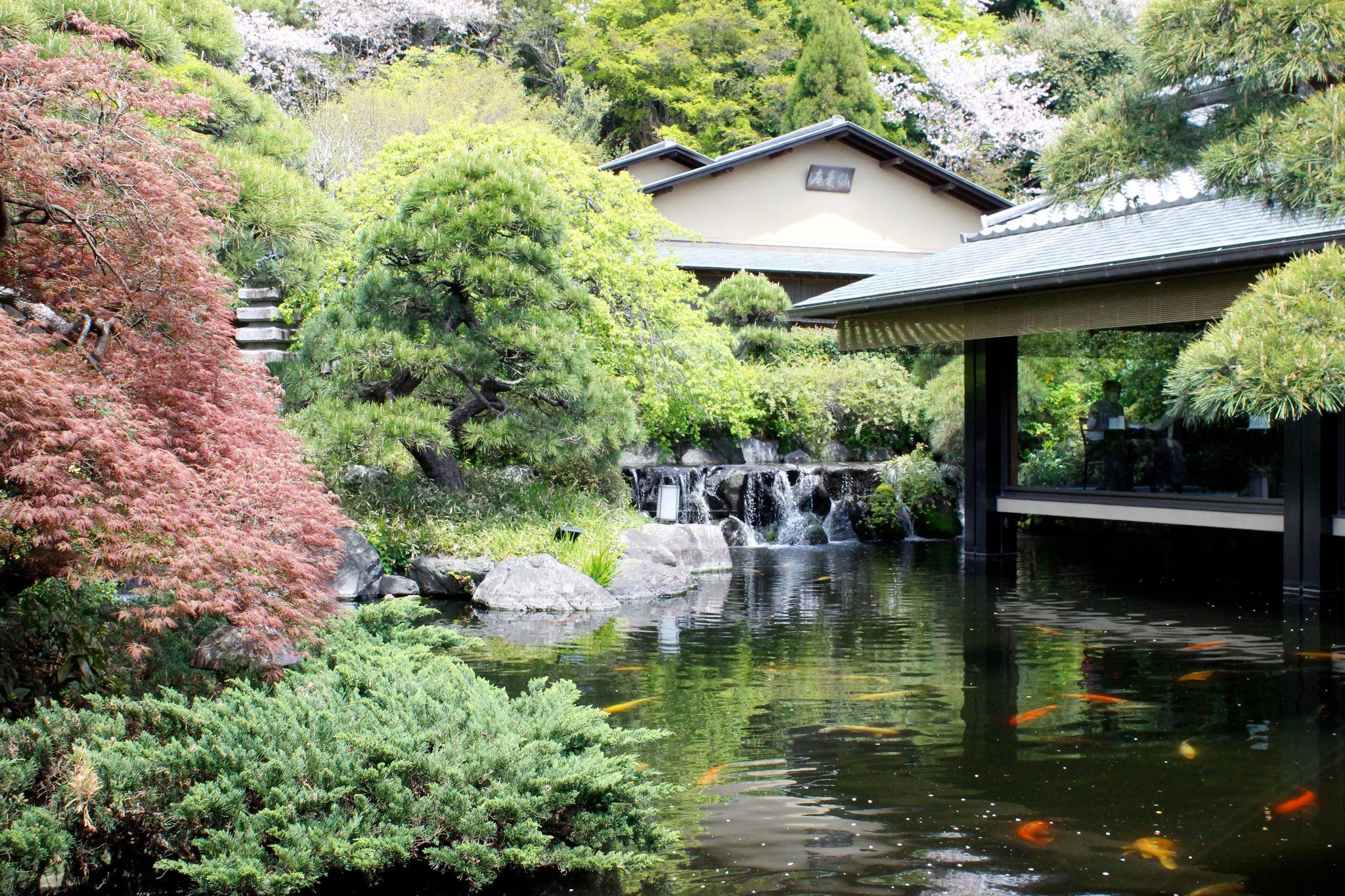 A Day in a Japanese Garden v2
