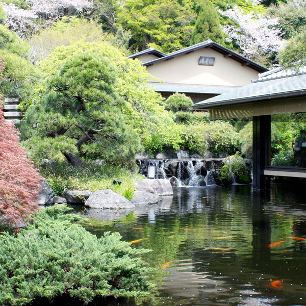 A Day in a Japanese Garden v2