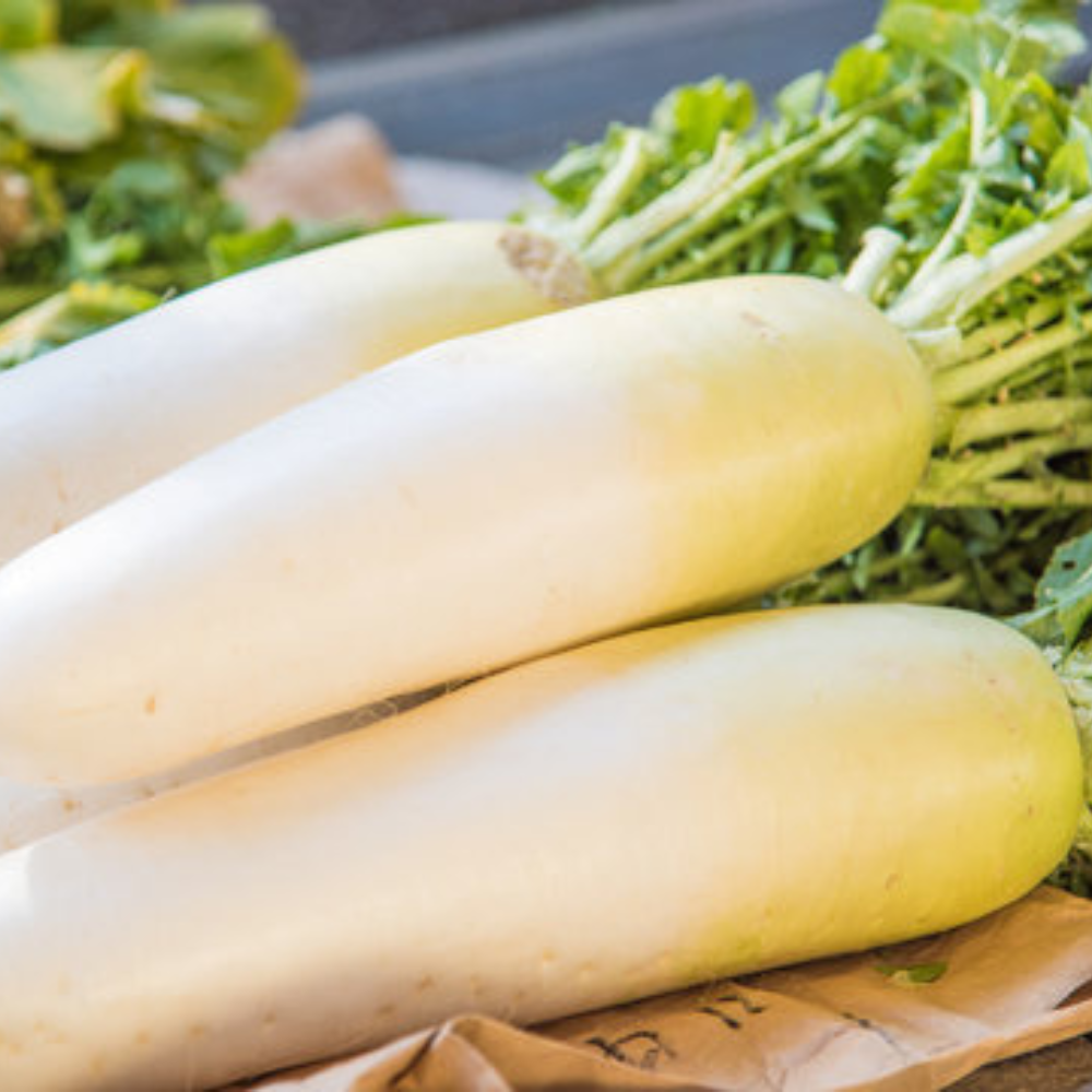 Daikon (Radish) - (-700g)