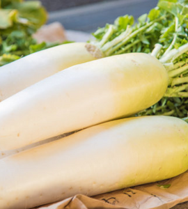 Daikon (Radish) - (-700g)