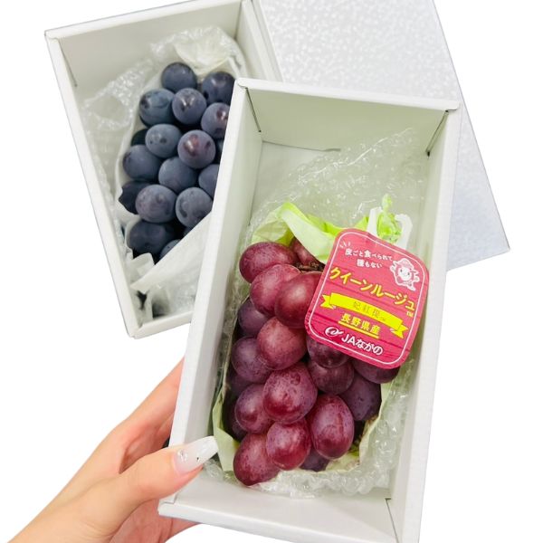 [Pre-Order] Pione Grape ピオーネ / 500-600g