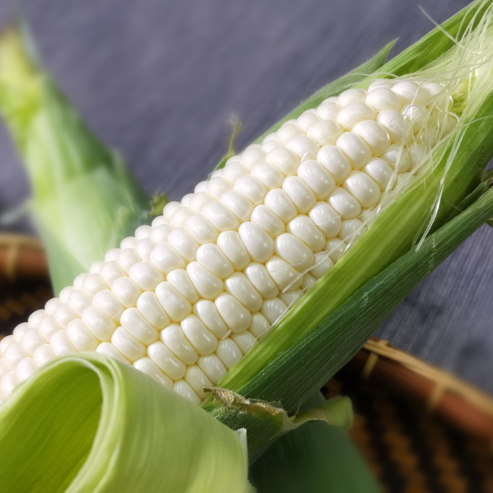 White Sweet Corn - (-300g)